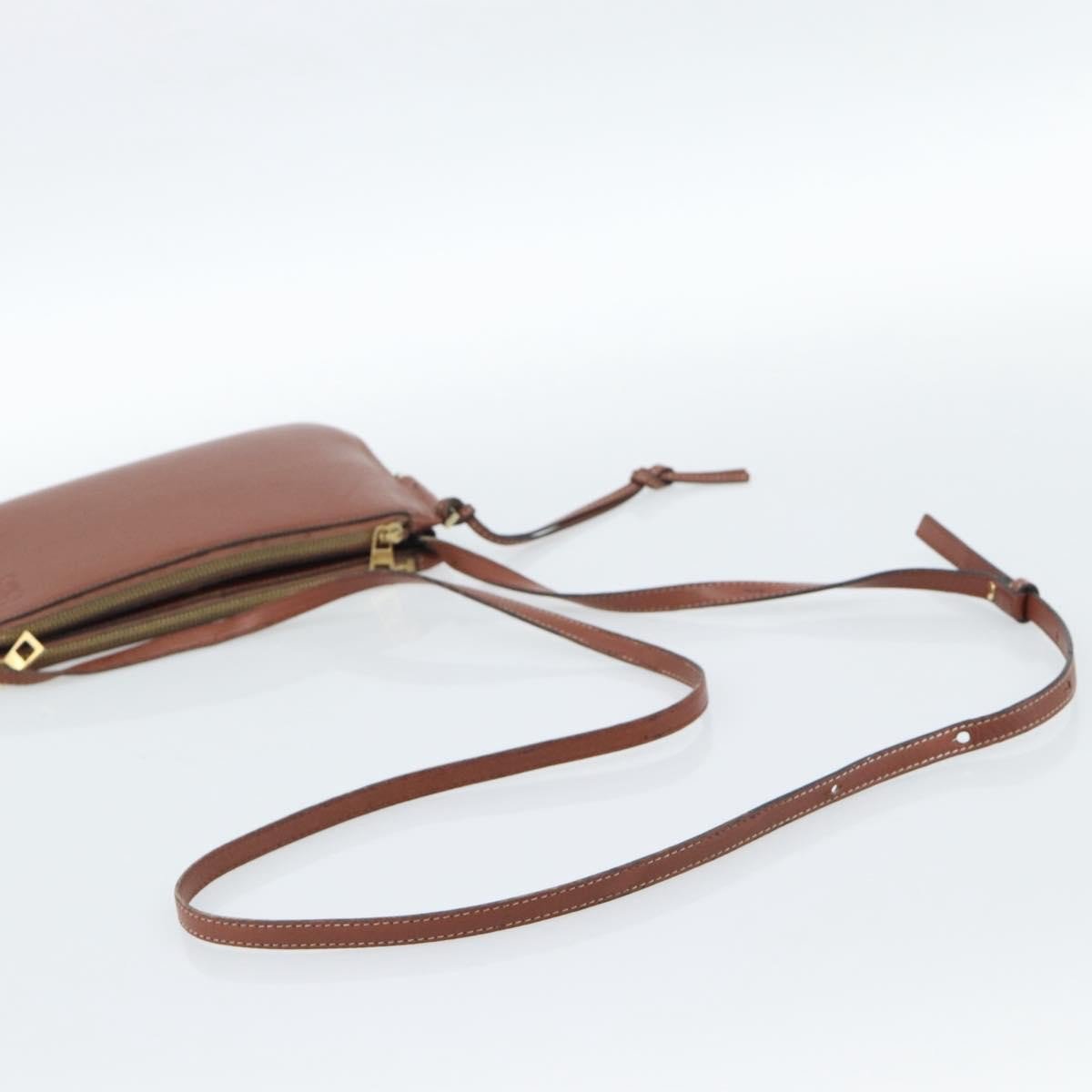 Loewe Gate Double Zip Crossbody Bag Leather Small Bruin