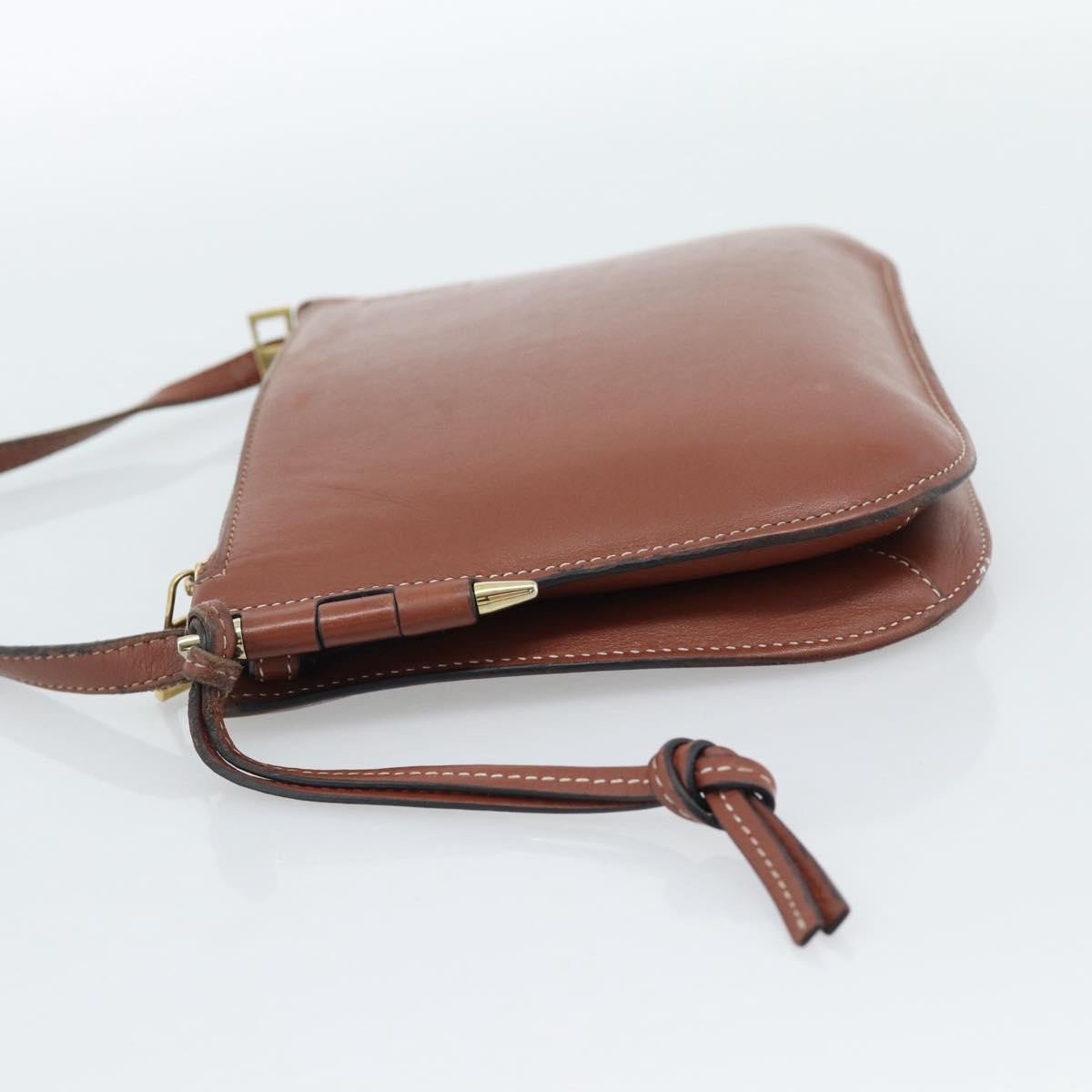 Loewe Gate Double Zip Crossbody Bag Leather Small Bruin