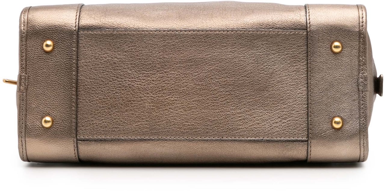 Loewe Metallic Goatskin Amazona 28 Goud