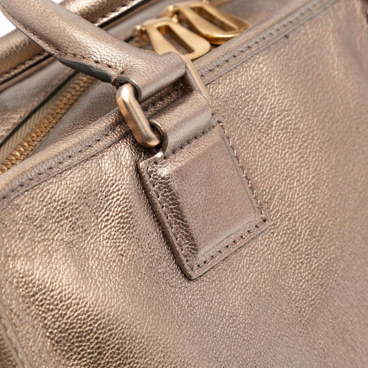 Loewe Metallic Goatskin Amazona 28 Goud