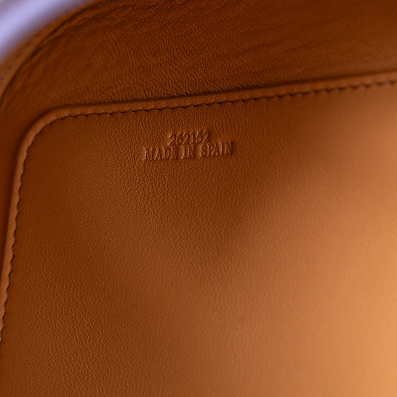 Loewe Medium Leather Goya Crossbody Paars