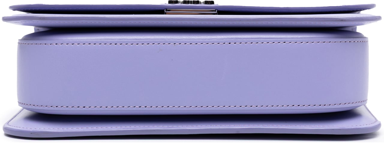Loewe Medium Leather Goya Crossbody Paars