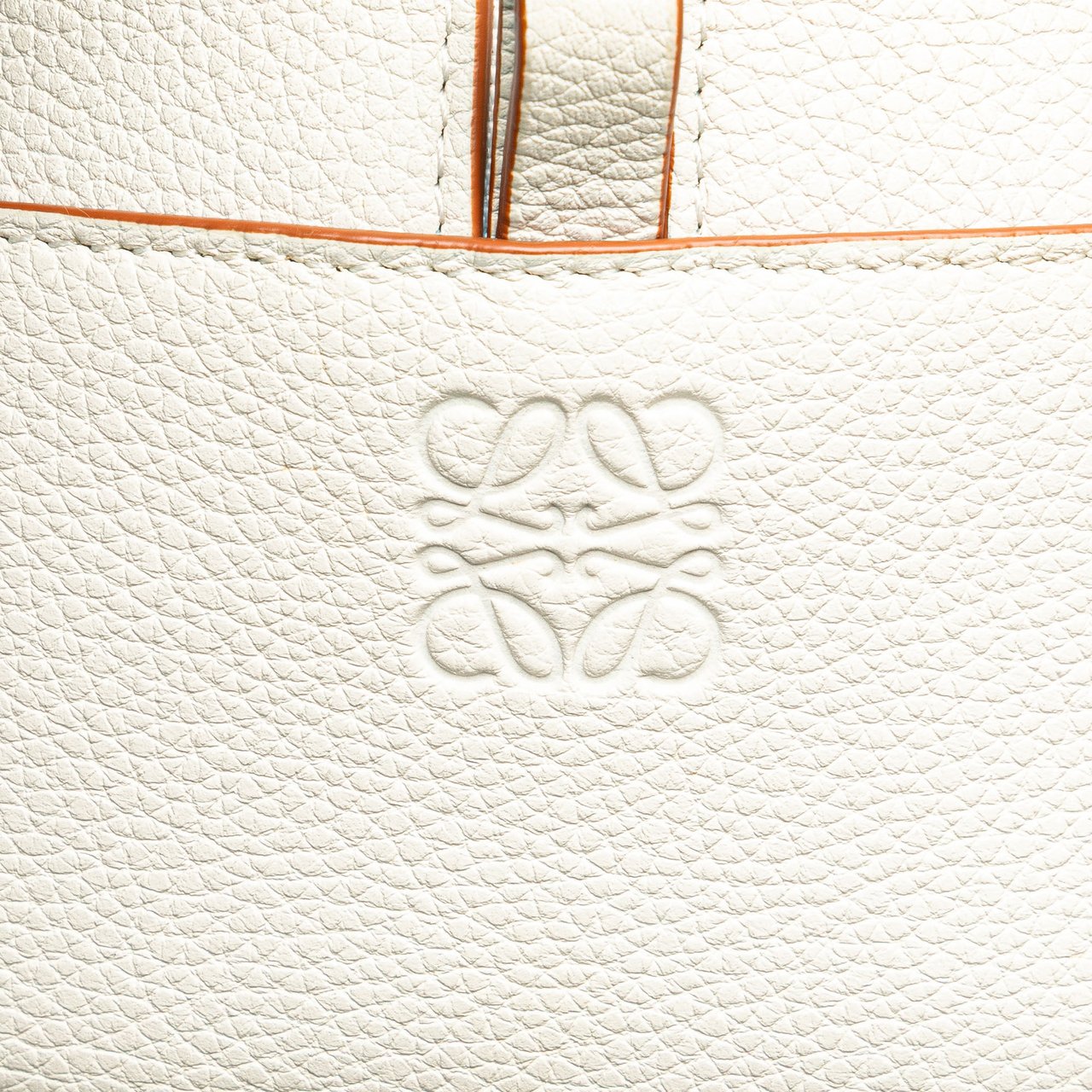 Loewe Leather Amazona Square 19 Wit
