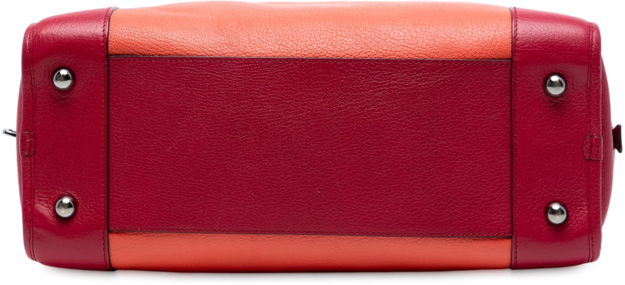 Loewe Tricolor Leather Amazona 36 Oranje