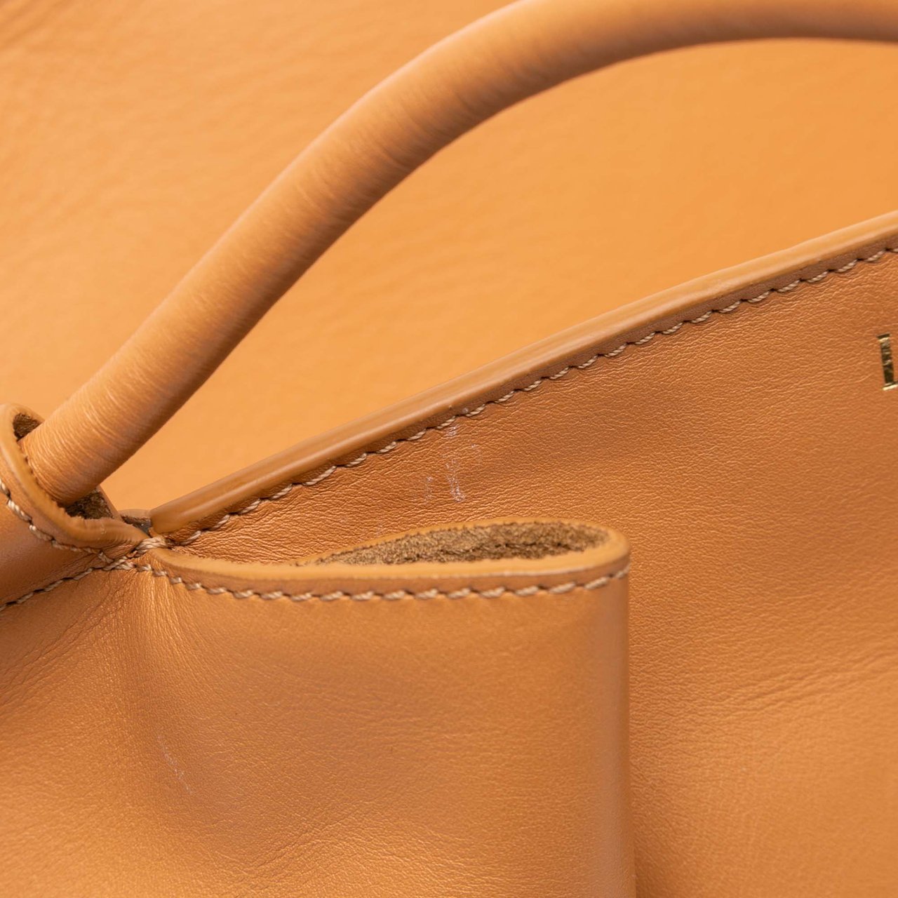 Loewe Small Leather Paseo Satchel Bruin