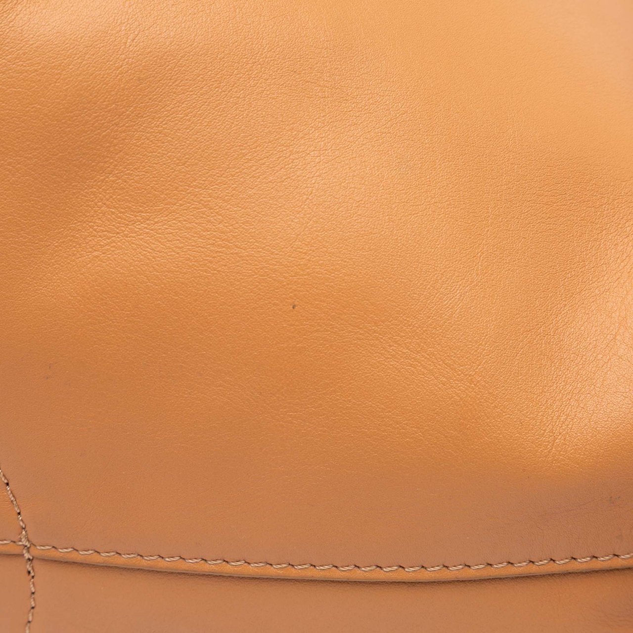Loewe Small Leather Paseo Satchel Bruin