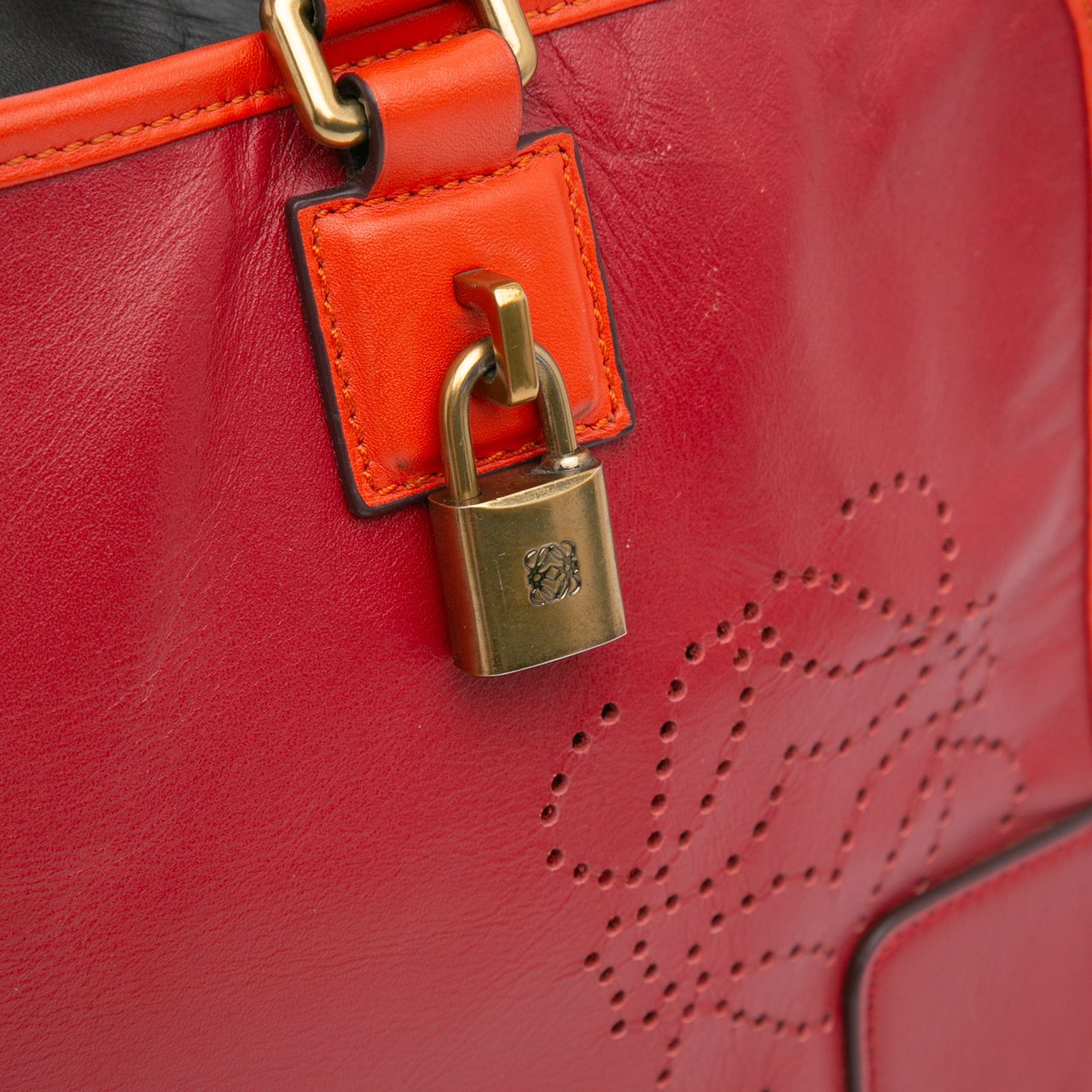 Loewe Tricolor Leather Amazona 36 Rood