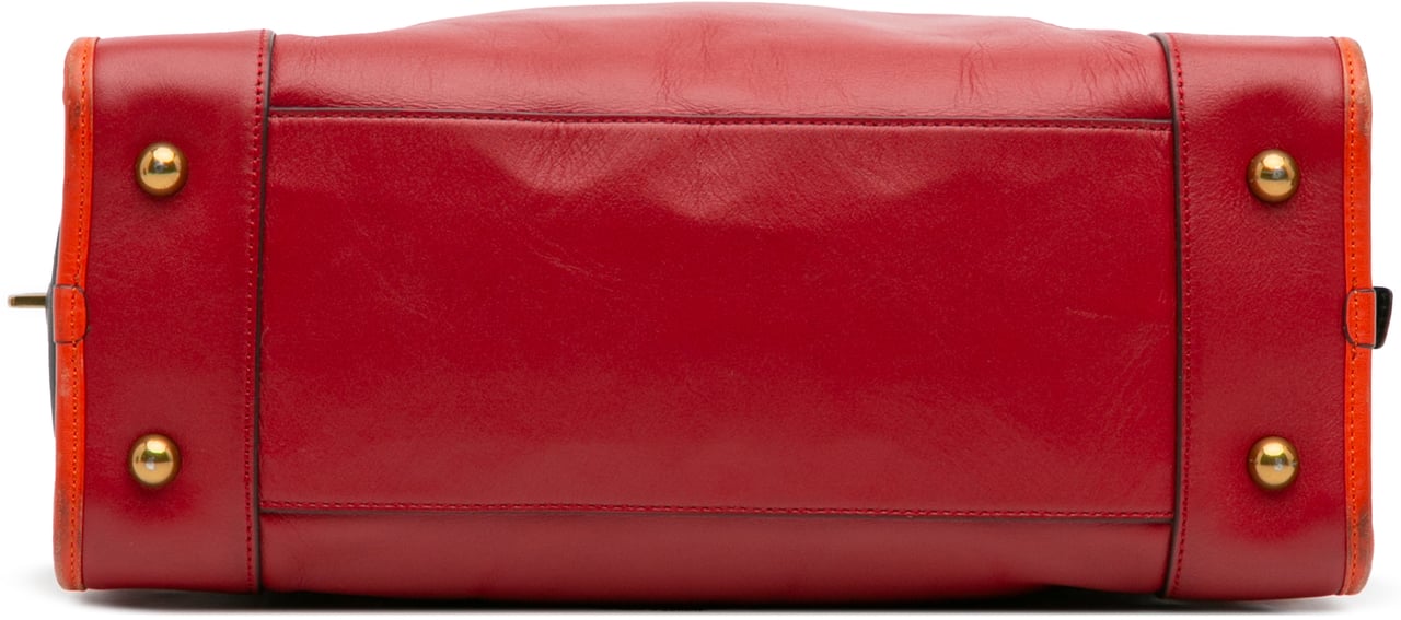 Loewe Tricolor Leather Amazona 36 Rood