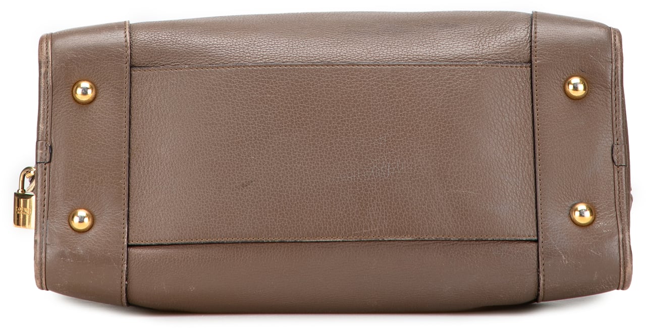 Loewe Leather Amazona 36 Bruin
