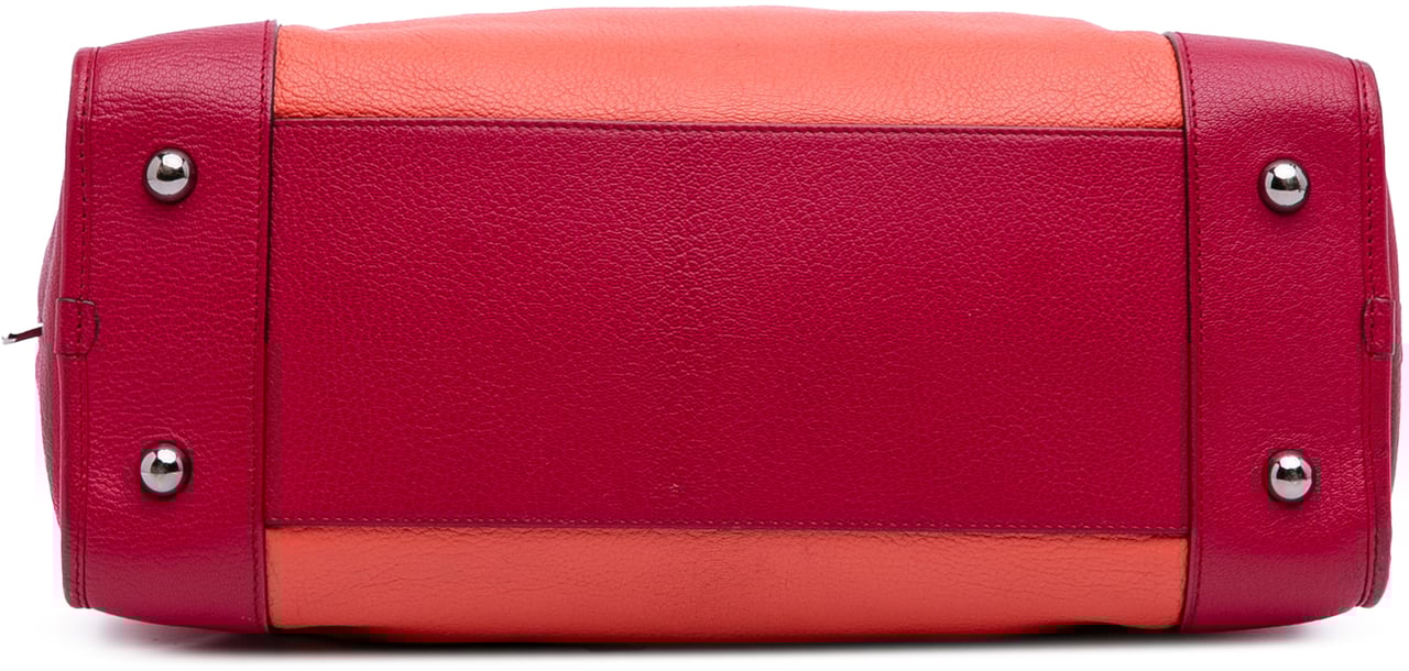 Loewe Tricolor Leather Amazona 36 Oranje