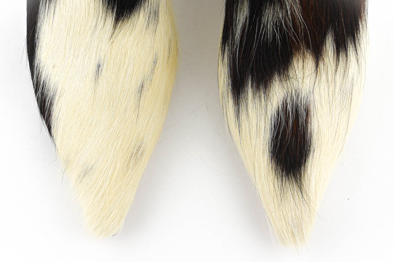 Lola Cruz Cow Bootie Divers