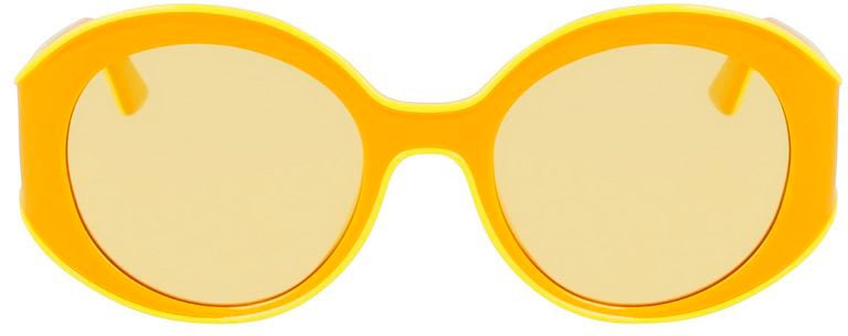 Longchamp Bicolor Injected Sunglasses Divers