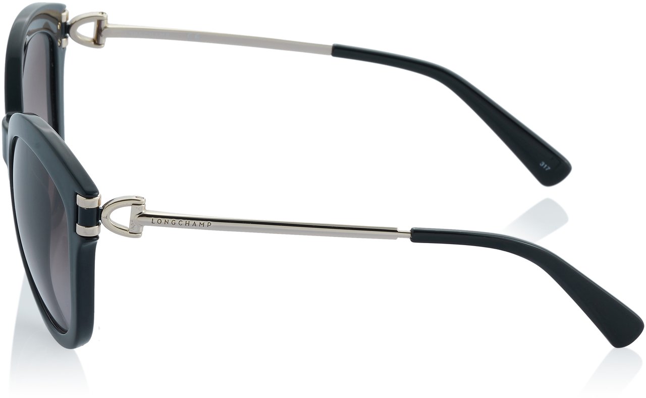 Longchamp Sonnenbrille Zwart