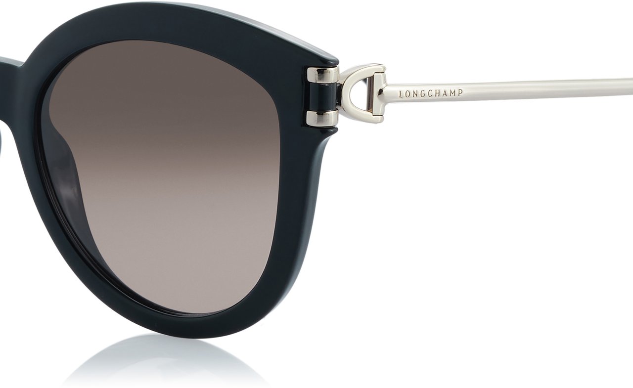 Longchamp Sonnenbrille Zwart
