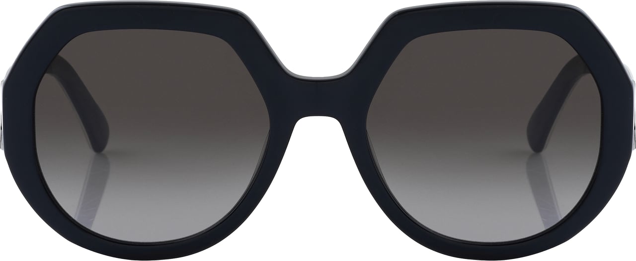 Longchamp Longchamp Sonnenbrille Zwart