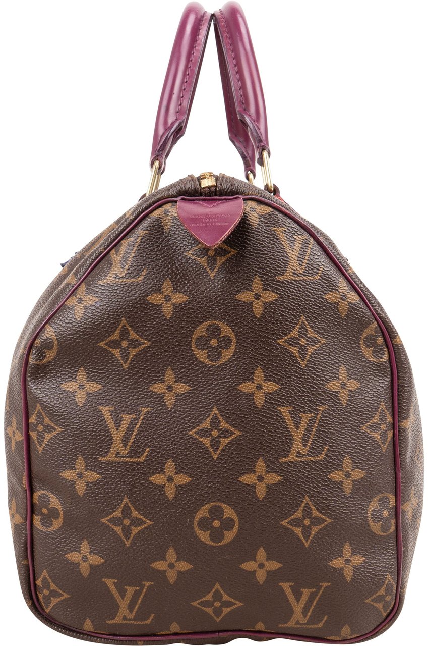 Louis Vuitton Louis Vuitton Monogram Canvas Speedy 30 Totem Handbag Bruin