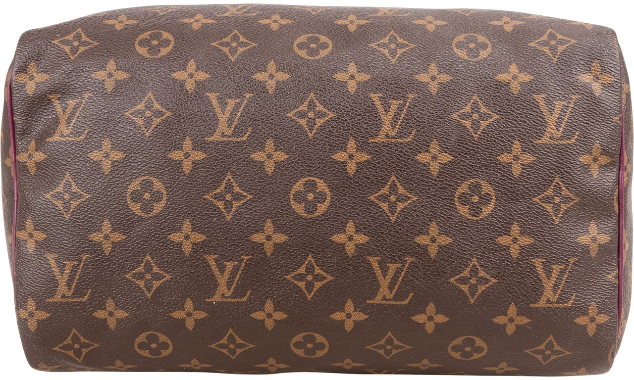 Louis Vuitton Louis Vuitton Monogram Canvas Speedy 30 Totem Handbag Bruin