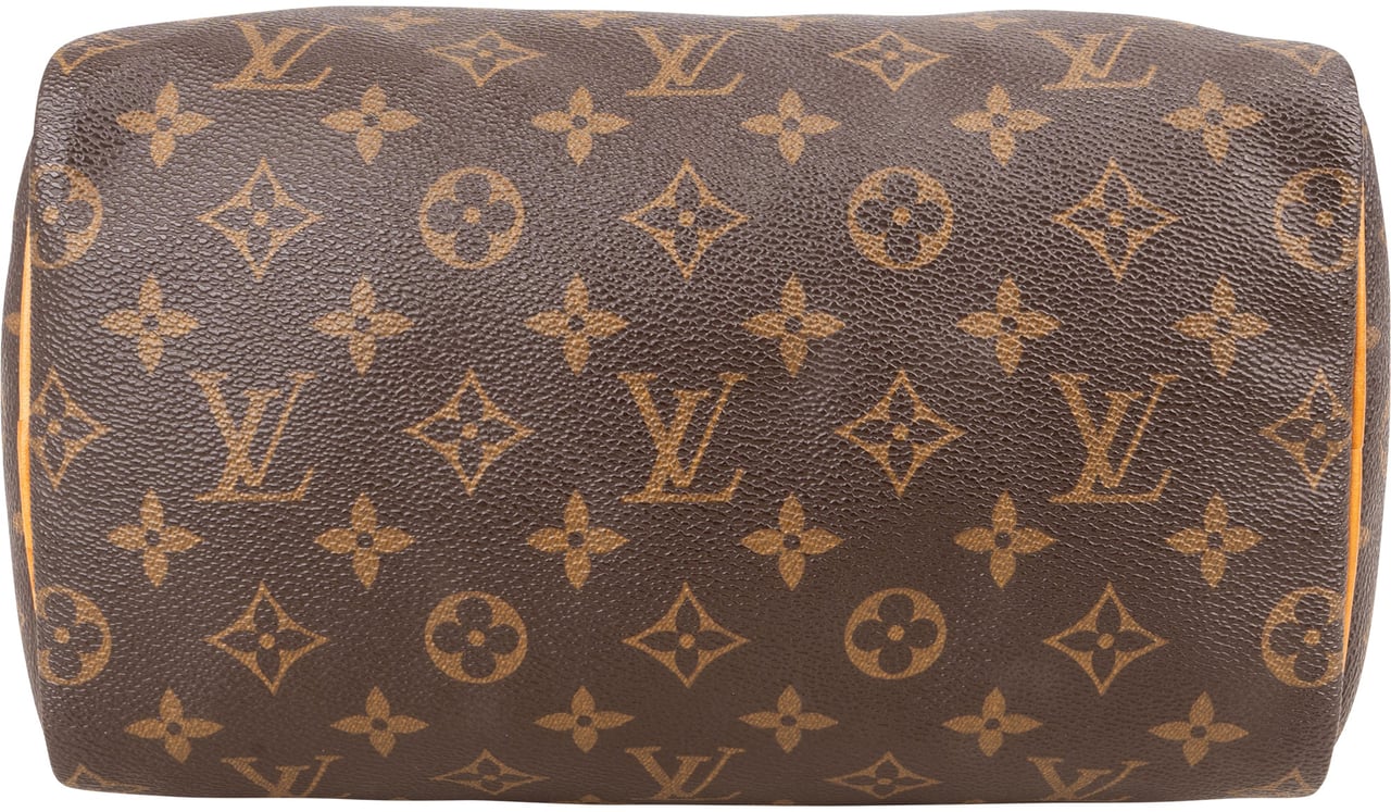 Louis Vuitton Louis Vuitton Monogram Canvas Speedy 25 Handbag Bruin