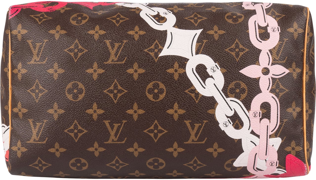 Louis Vuitton Louis Vuitton Monogram Canvas Chain Flower Speedy 30 Handbag Bruin