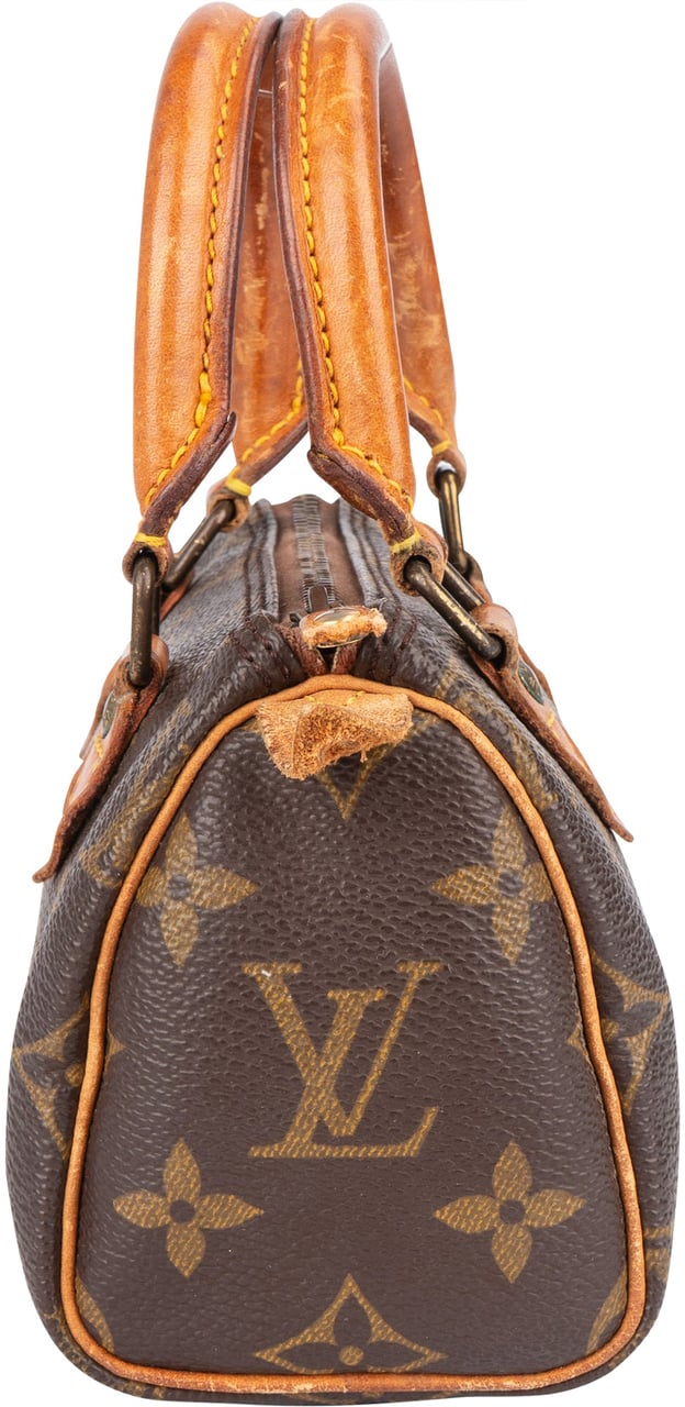 Louis Vuitton Louis Vuitton Monogram Canvas Mini Speedy Handbag Bruin