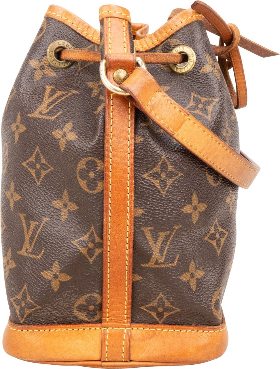 Louis Vuitton Louis Vuitton Monogram Canvas Nano Noe Handbag Bruin