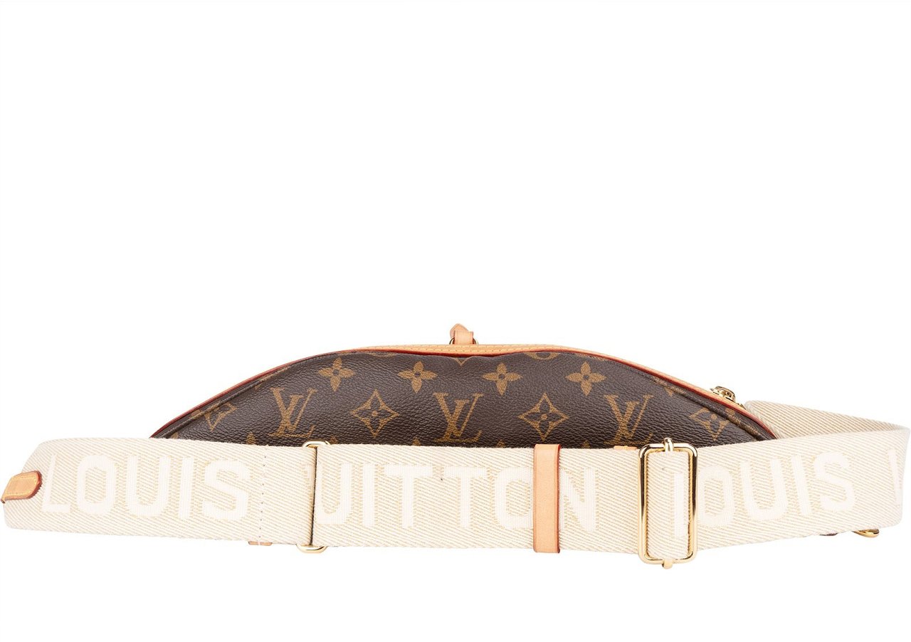 Louis Vuitton Louis Vuitton Monogram Canvas High Rise Mng Bumbag Crossbody Bag Bruin