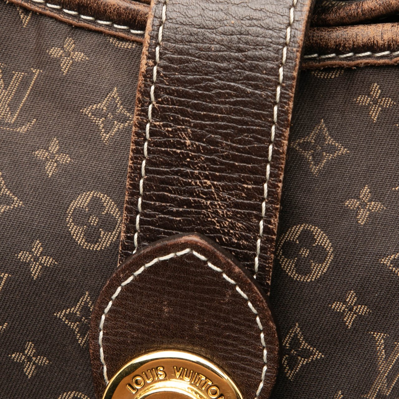 Louis Vuitton Monogram Idylle Elegie Bruin