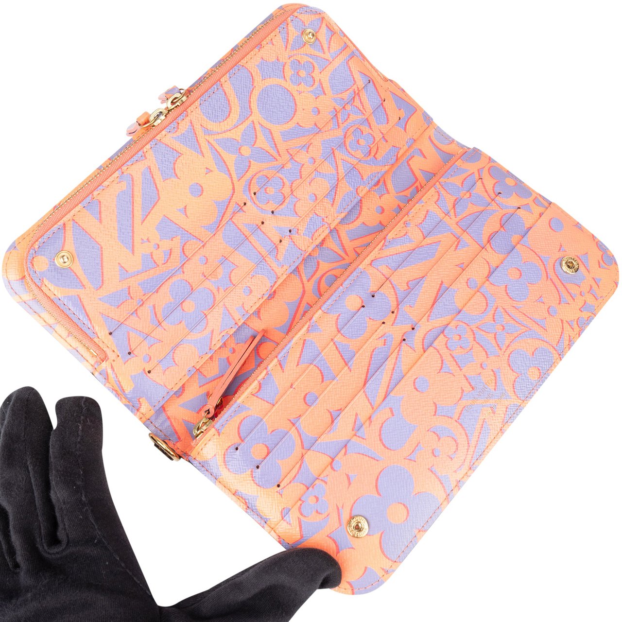 Louis Vuitton Louis Vuitton Monogram Canvas Evasion Insolite Zippy Wallet Bruin