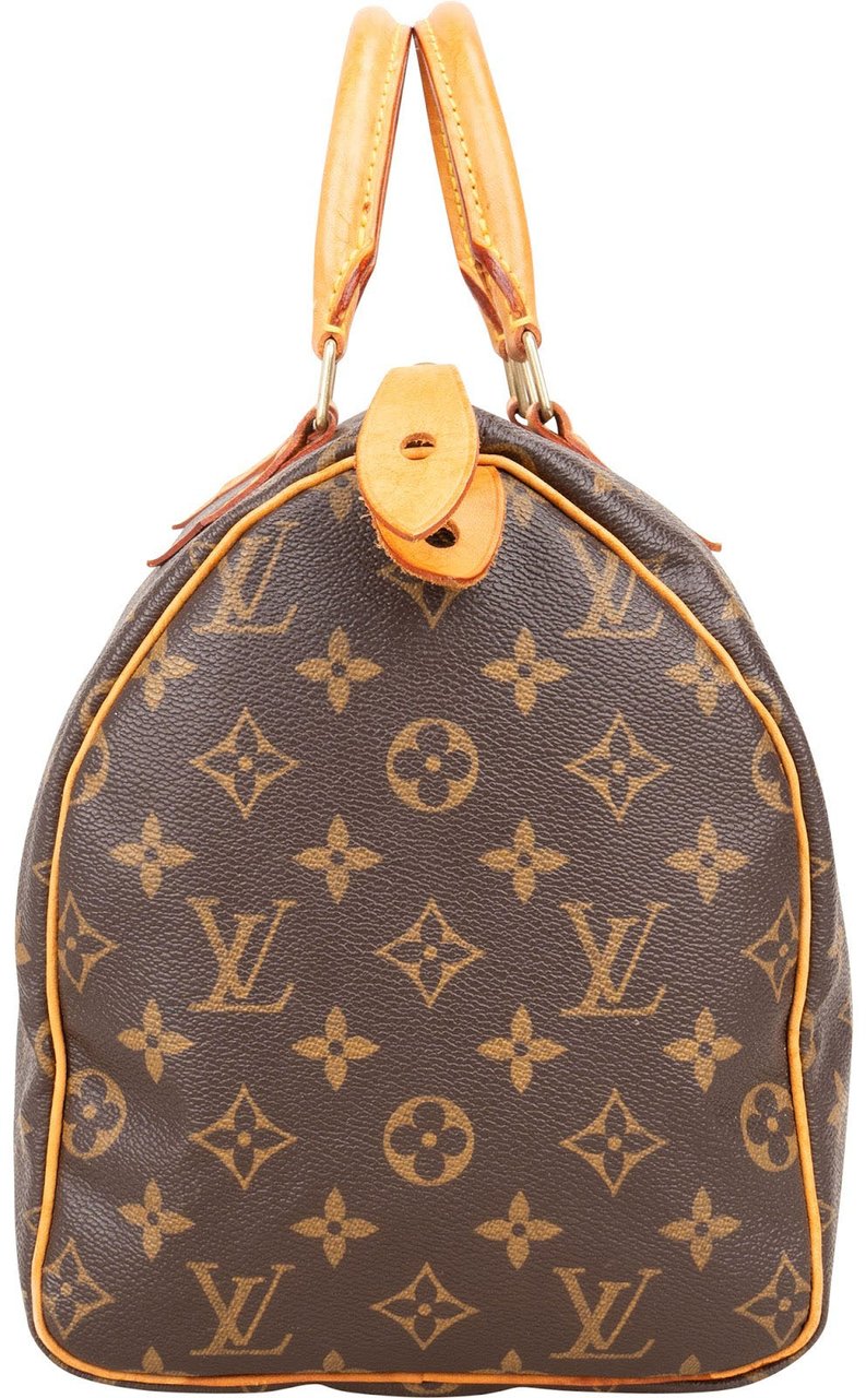 Louis Vuitton Louis Vuitton Monogram Canvas Speedy 30 Handbag Bruin