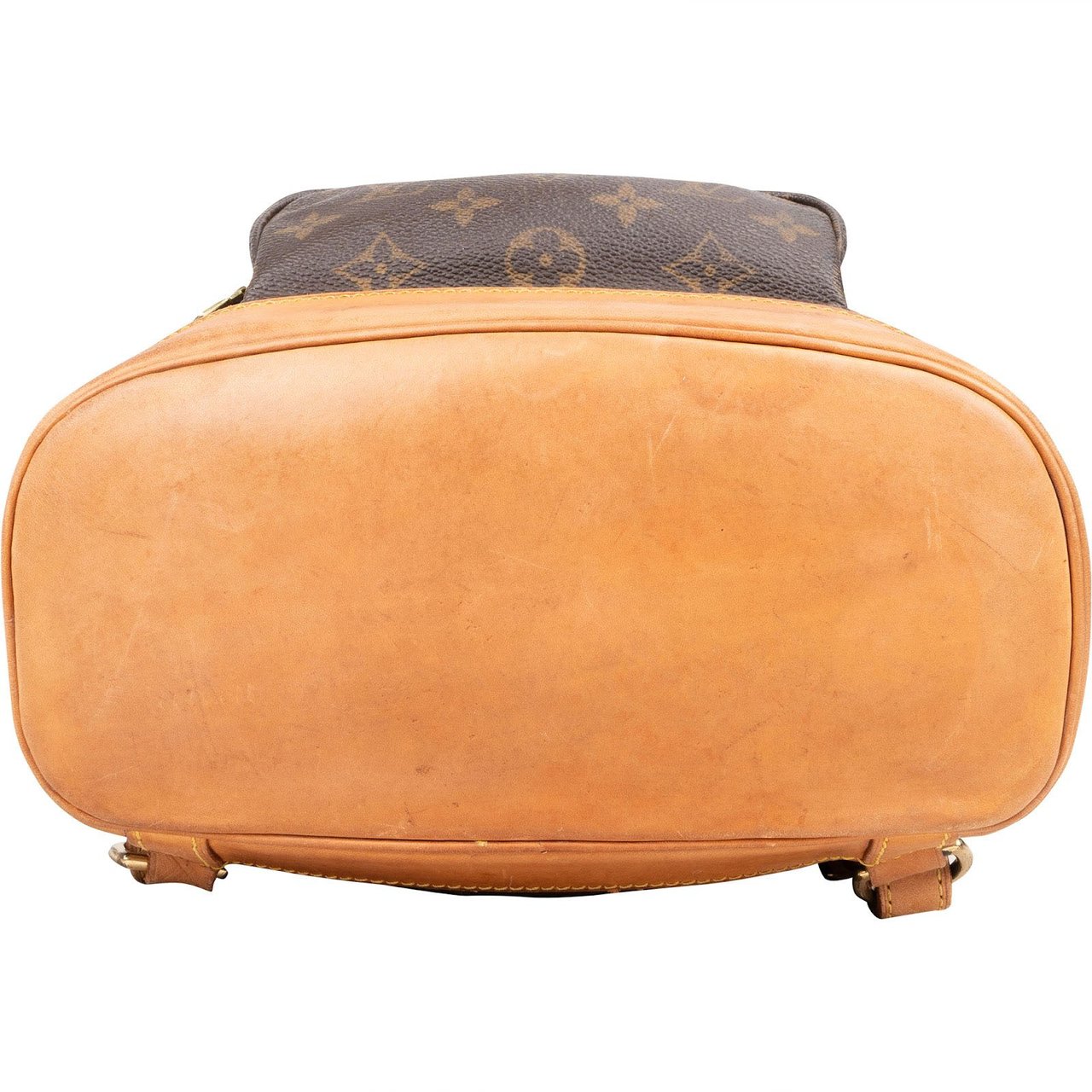 Louis Vuitton Louis Vuitton Monogram Canvas Montsouris MM Backpack Bruin