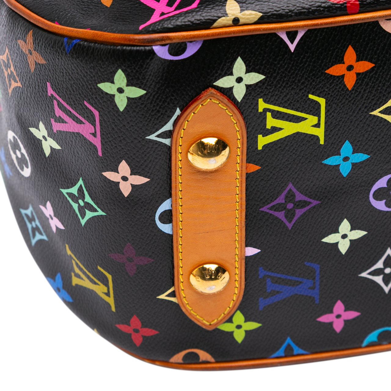 Louis Vuitton Monogram Multicolore Rita Zwart