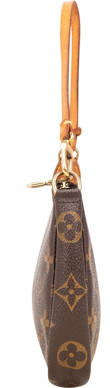 Louis Vuitton Louis Vuitton Monogram Canvas Pochette Accessoires Handbag Bruin