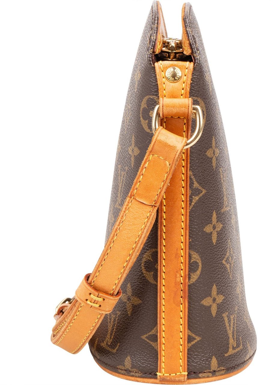 Louis Vuitton Louis Vuitton Monogram Canvas Drouot Crossbody Bag Bruin