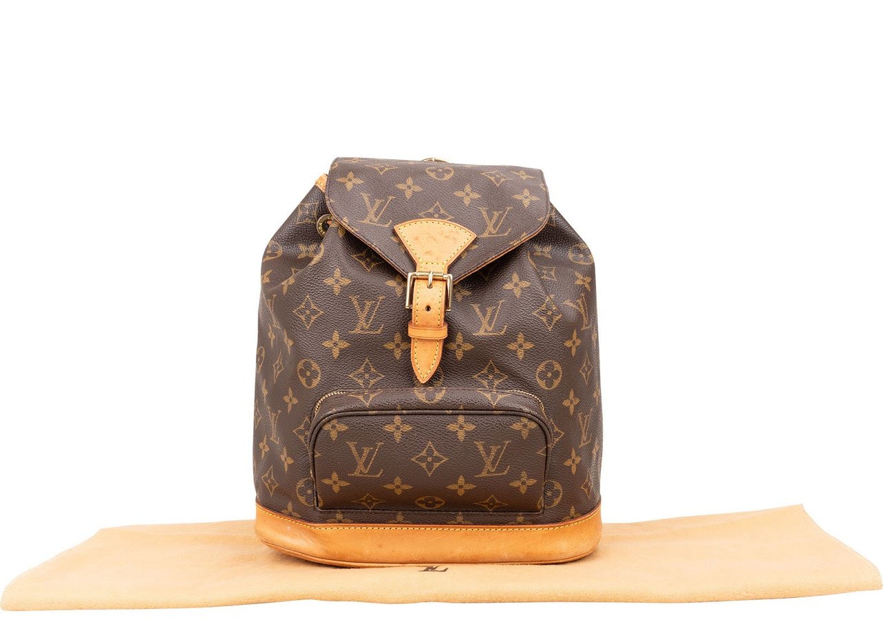 Louis Vuitton Louis Vuitton Monogram Canvas Montsouris MM Backpack Bruin