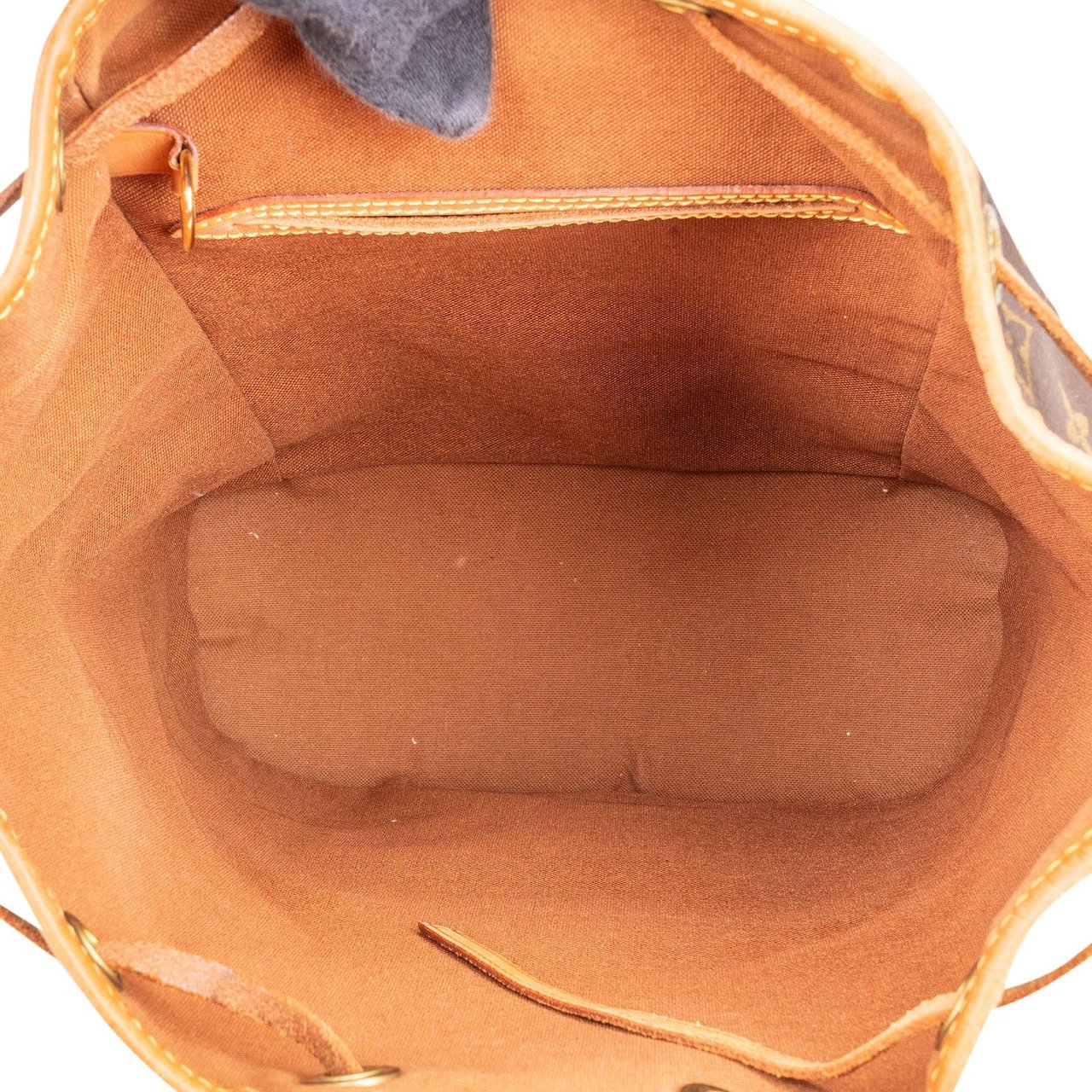 Louis Vuitton Louis Vuitton Monogram Canvas Montsouris MM Backpack Bruin