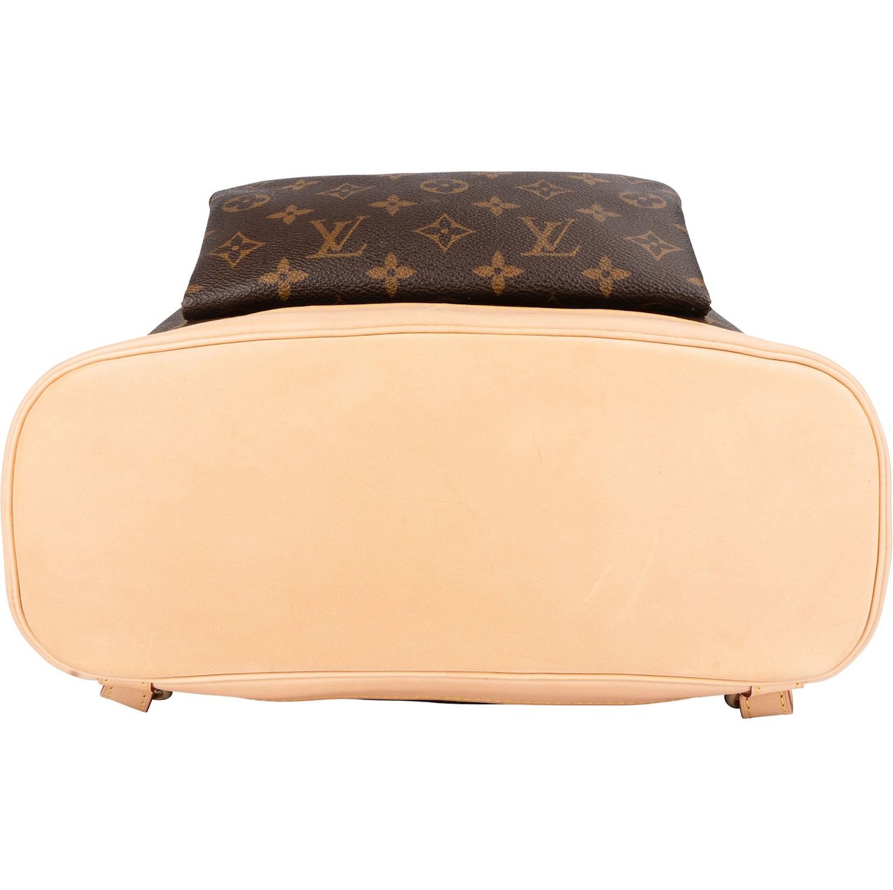 Louis Vuitton Louis Vuitton Monogram Canvas Montsouris GM Backpack Bruin