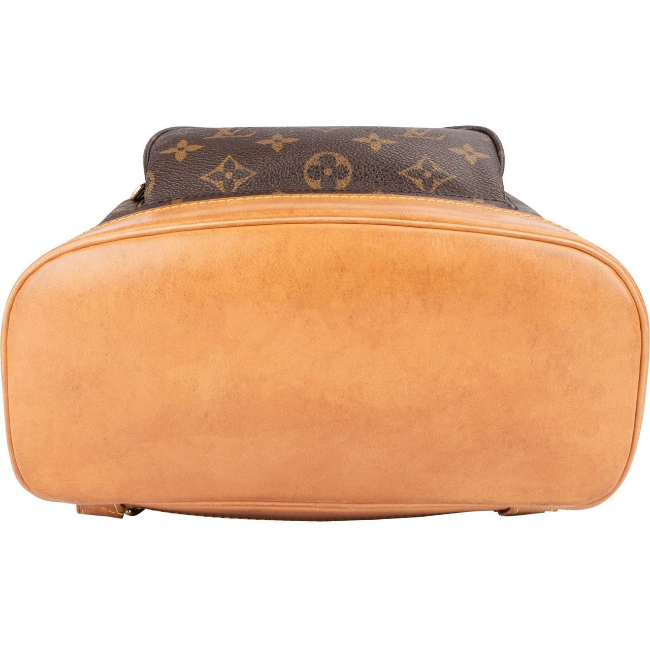 Louis Vuitton Louis Vuitton Monogram Canvas Montsouris MM Backpack Bruin