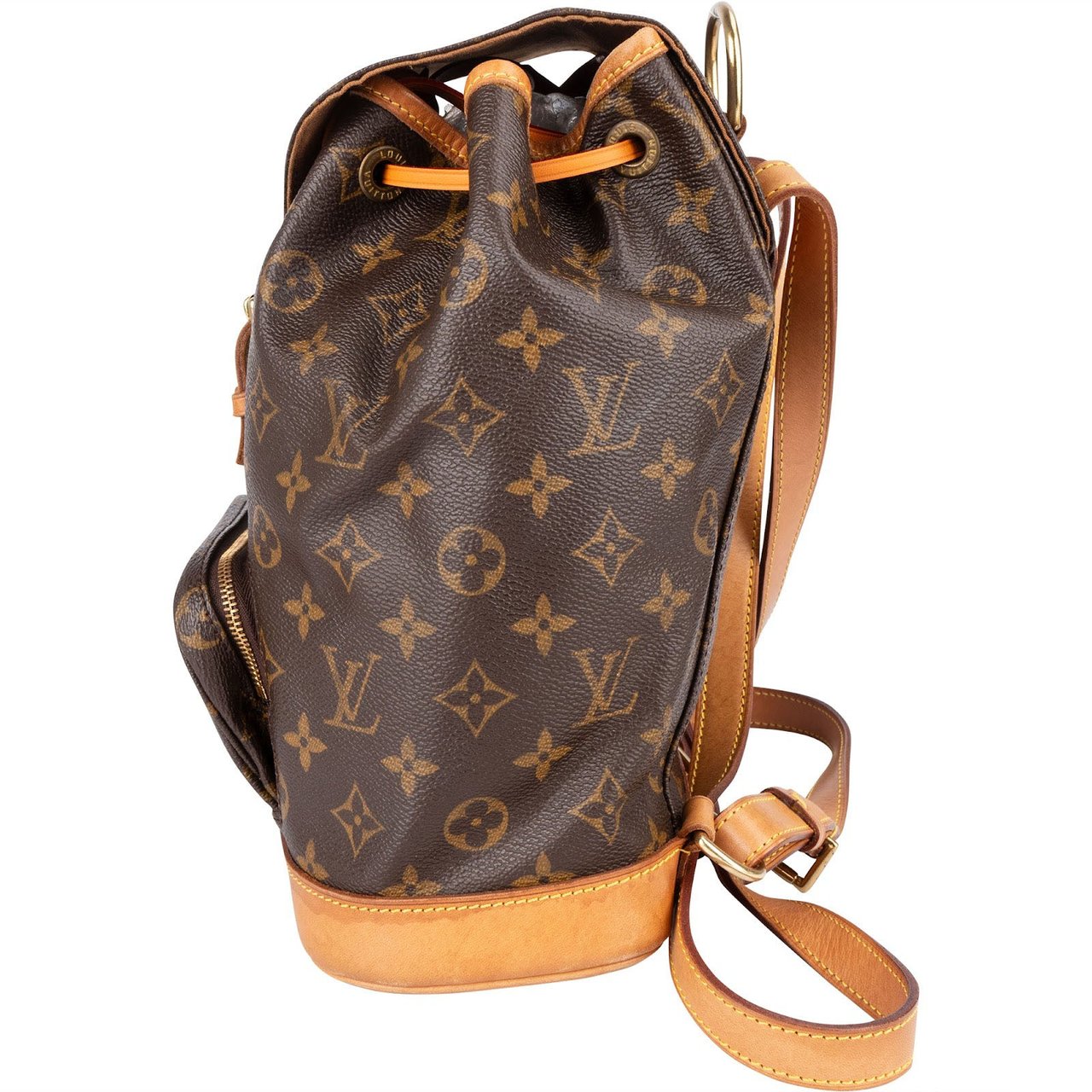 Louis Vuitton Louis Vuitton Monogram Canvas Montsouris MM Backpack Bruin