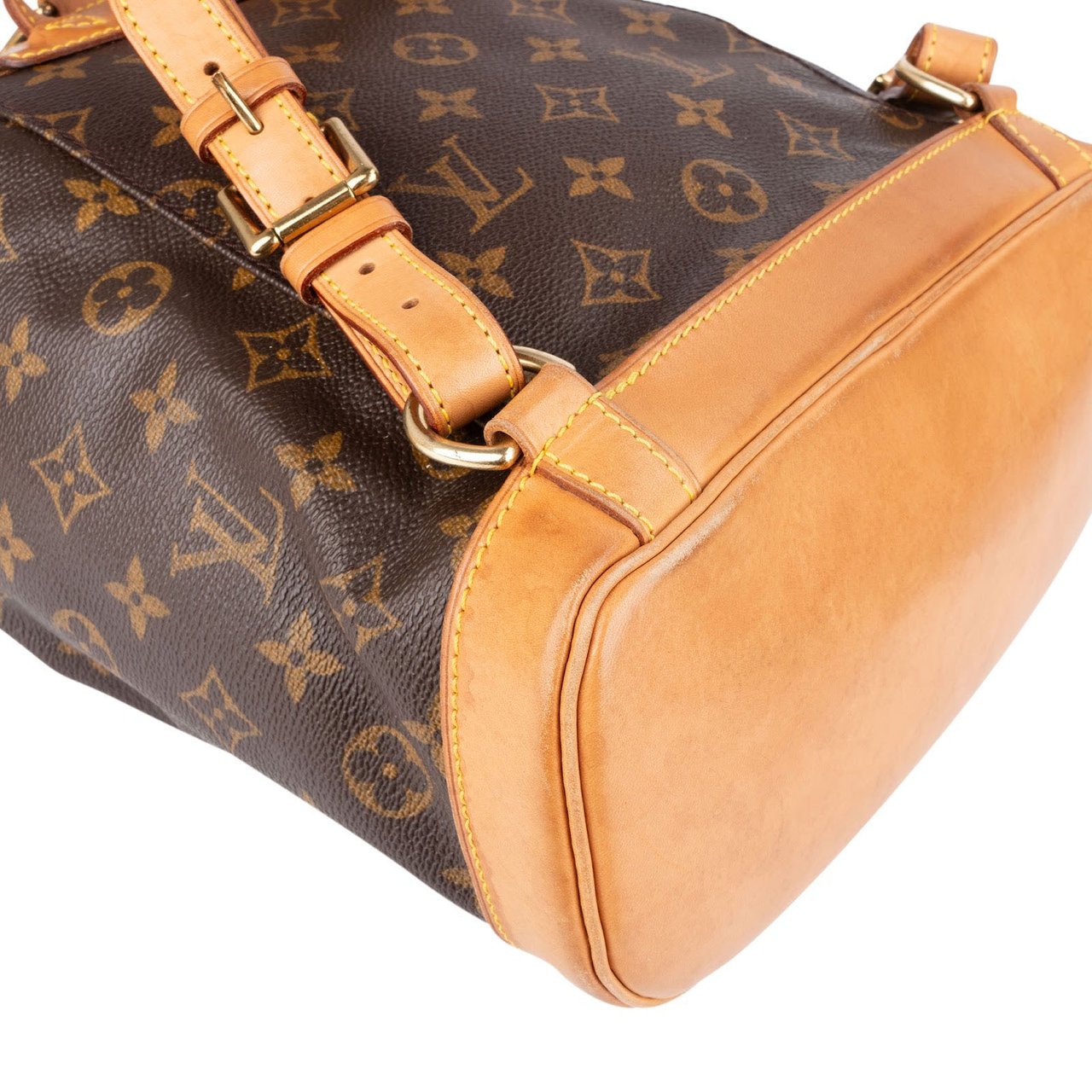 Louis Vuitton Louis Vuitton Monogram Canvas Montsouris MM Backpack Bruin