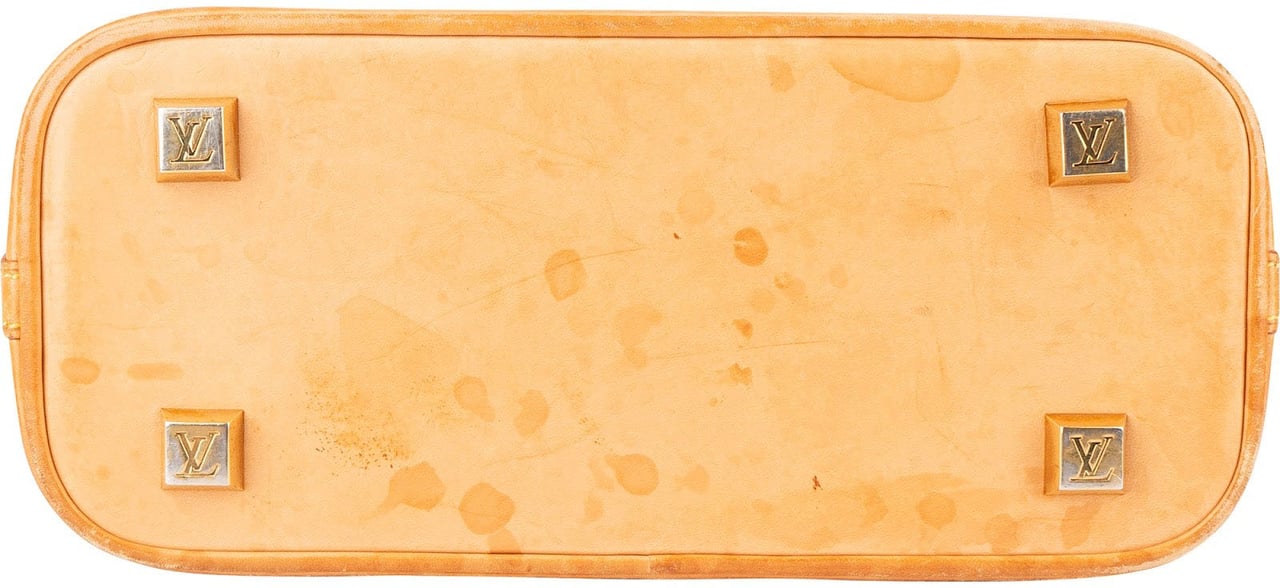 Louis Vuitton Louis Vuitton Monogram Vinyl Sac Cabas Ambre PM Handbag Bruin