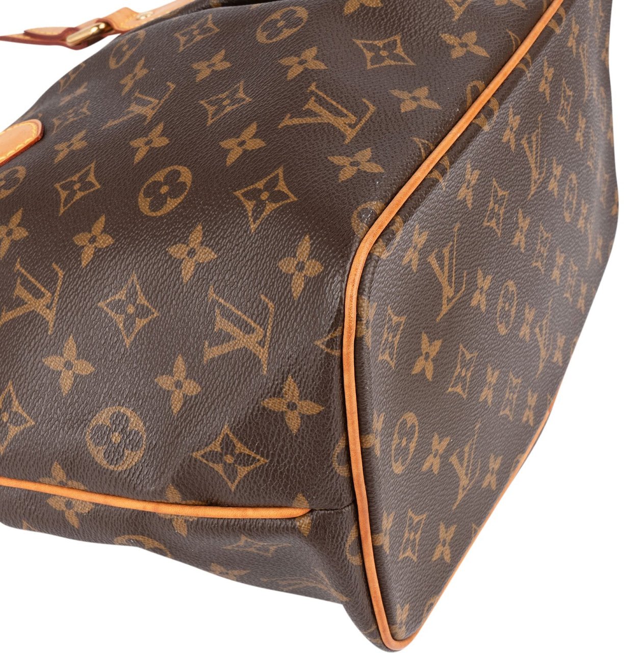 Louis Vuitton Monogram Canvas Palermo PM Handbag Bruin