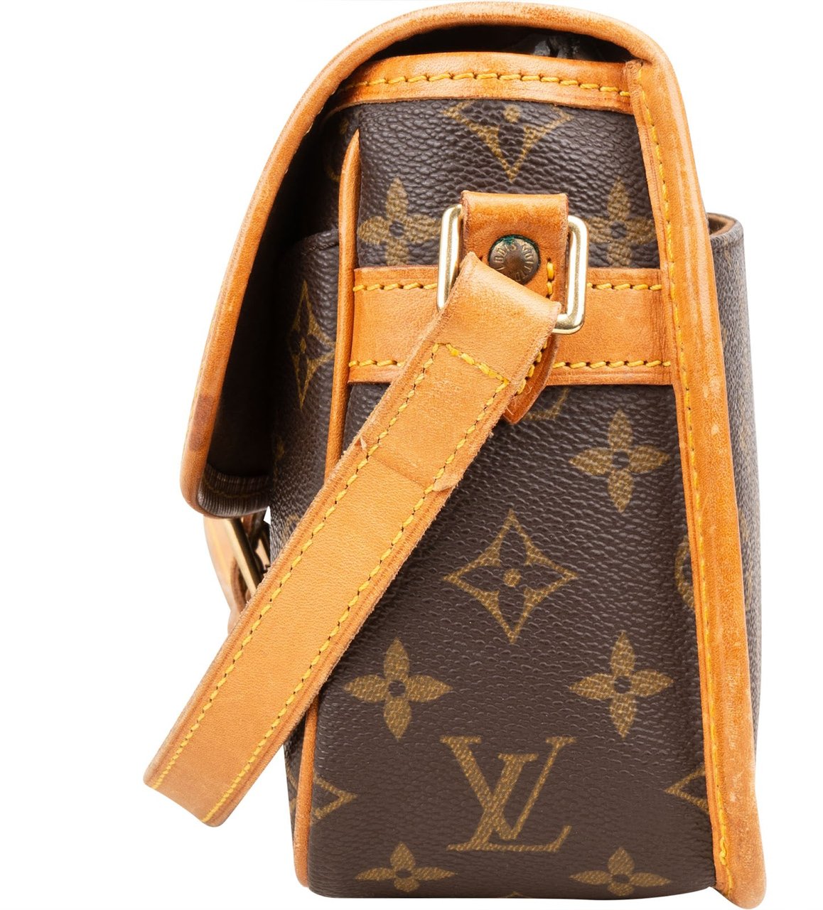 Louis Vuitton Monogram Canvas Sologne Crossbody Bag Bruin