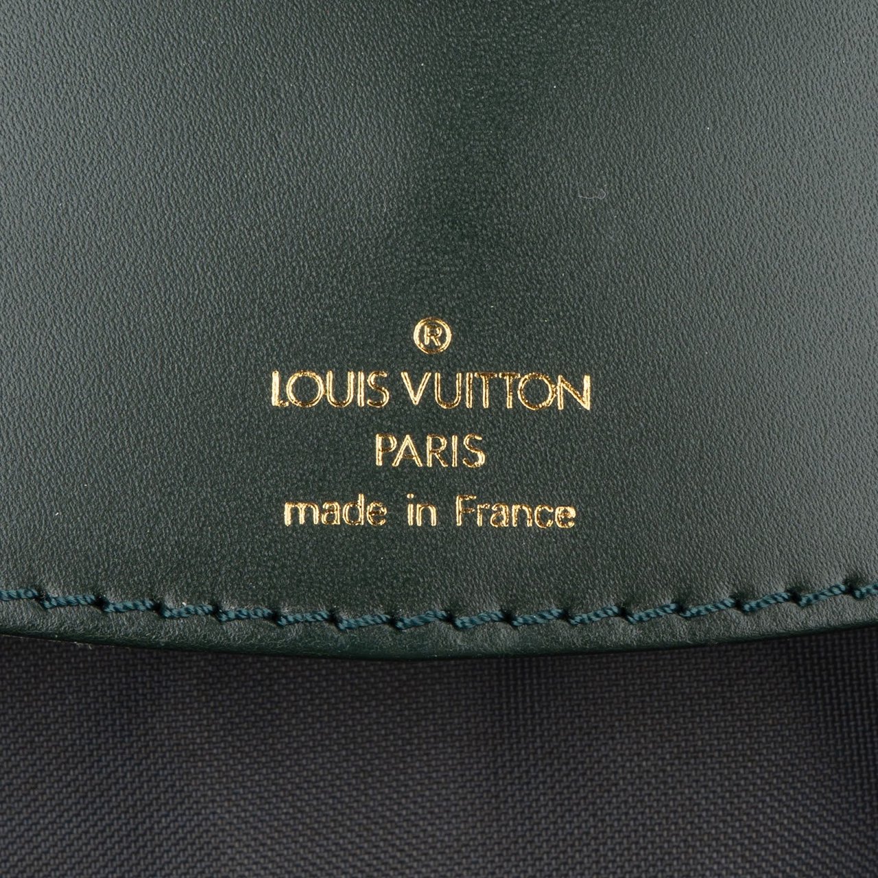 Louis Vuitton Louis Vuitton Green Taiga Leather Garment Bag Kleidersack Divers