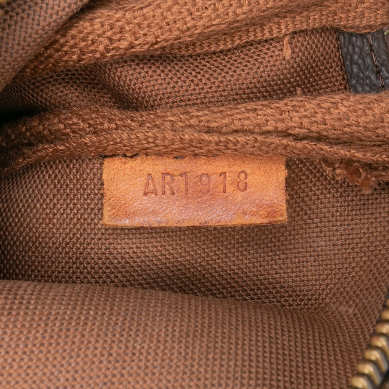 Louis Vuitton Monogram Pochette Accessoires Bruin