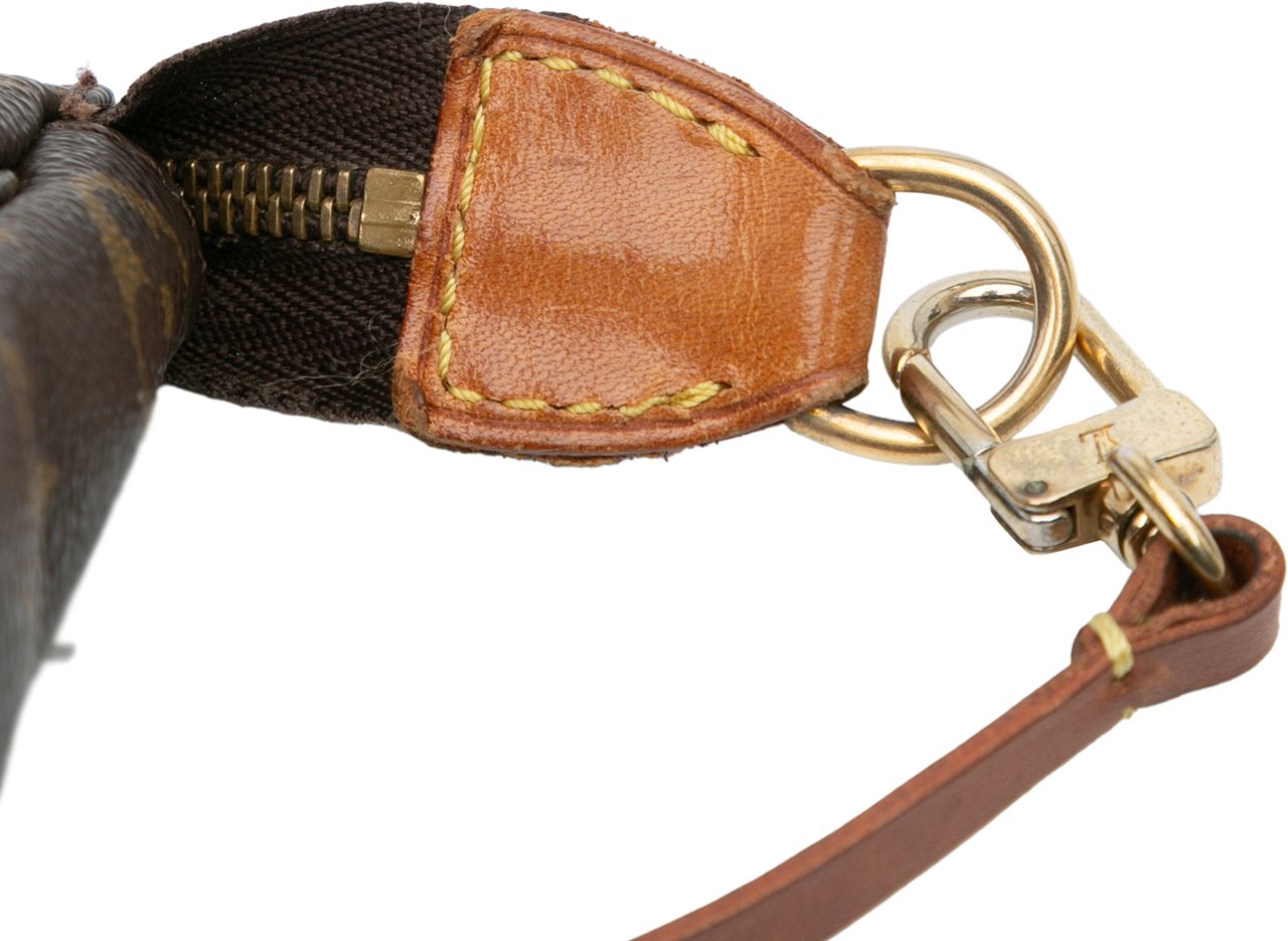Louis Vuitton Monogram Pochette Accessoires Bruin