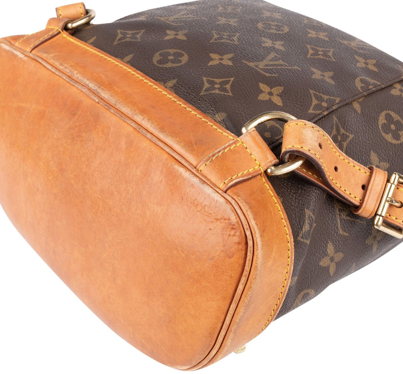 Louis Vuitton Louis Vuitton Monogram Canvas Montsouris MM Backpack Bruin