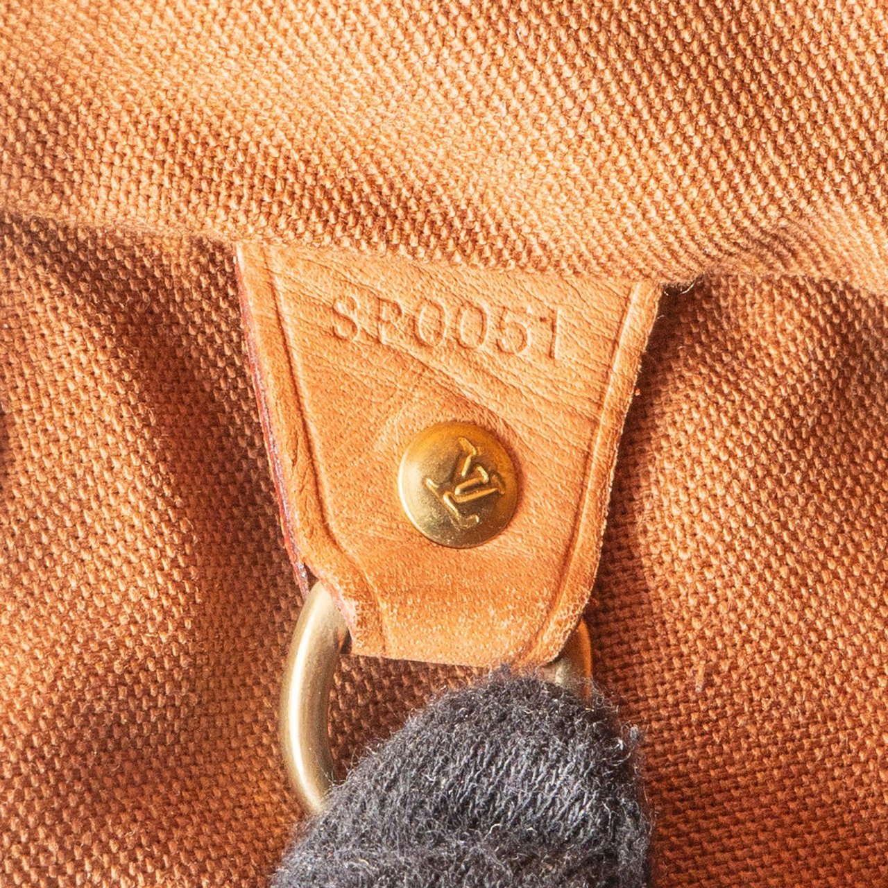 Louis Vuitton Louis Vuitton Monogram Canvas Montsouris MM Backpack Bruin