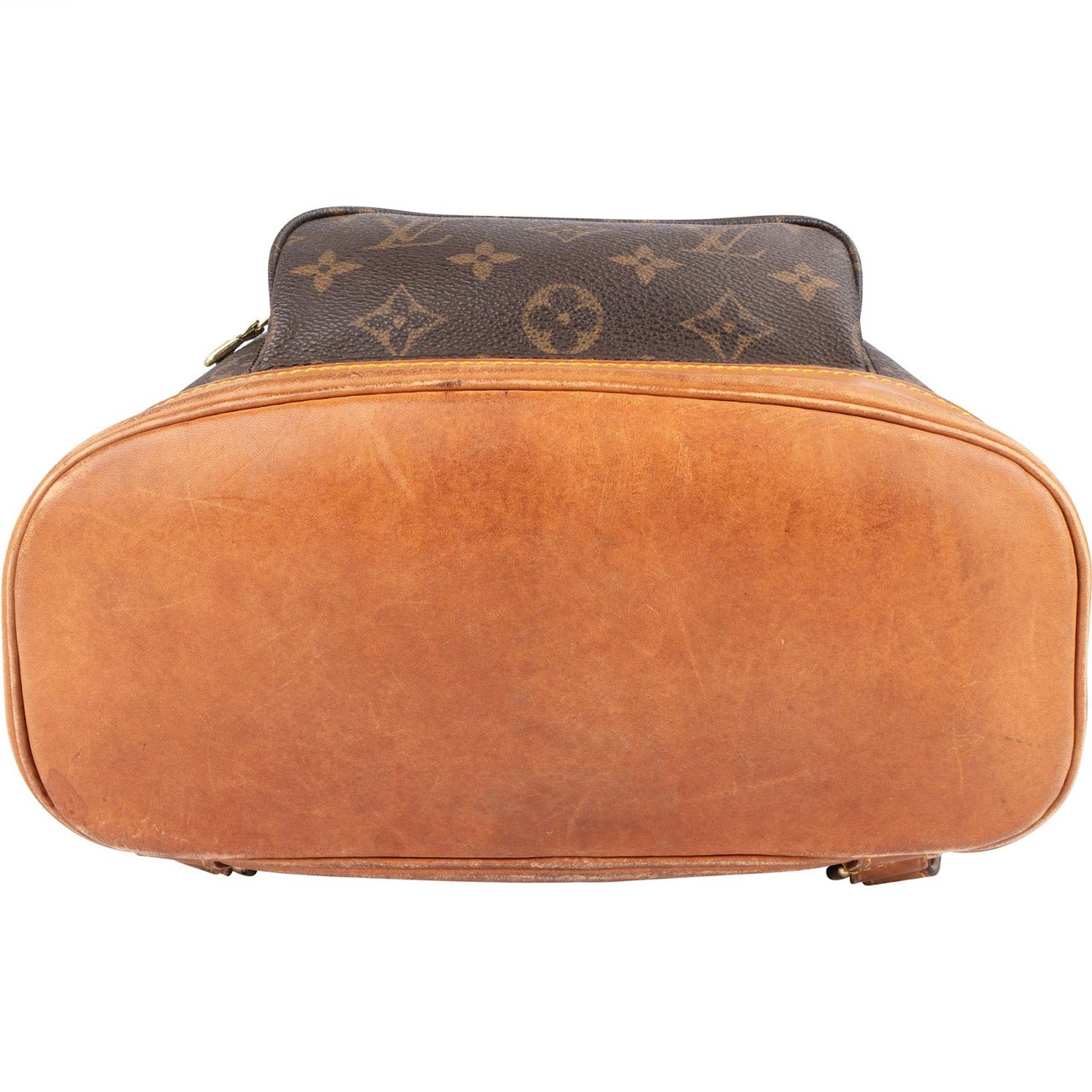 Louis Vuitton Louis Vuitton Monogram Canvas Montsouris MM Backpack Bruin