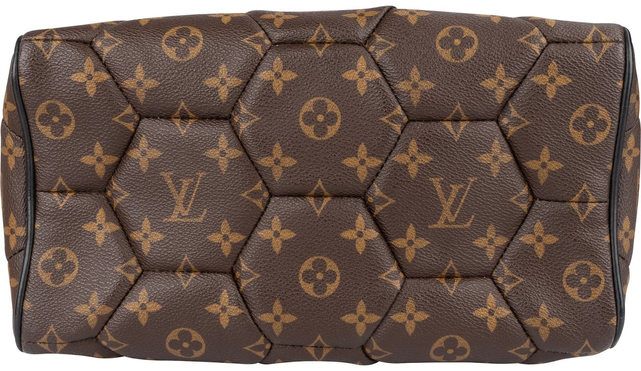 Louis Vuitton Monogram Macassar Hexagon Neo Trocadero Crossbody Bag Bruin
