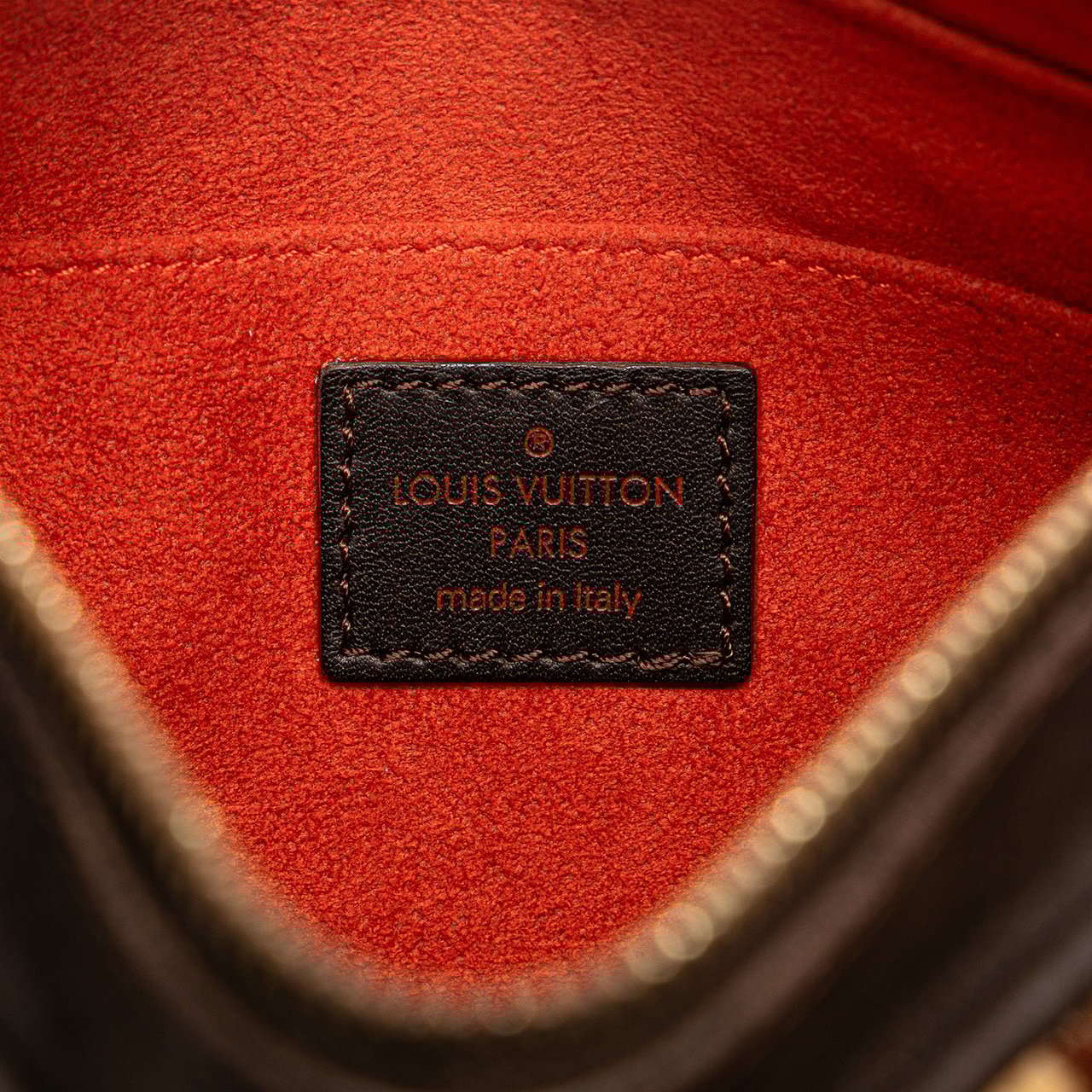 Louis Vuitton Damier Sauvage Tigre Bruin